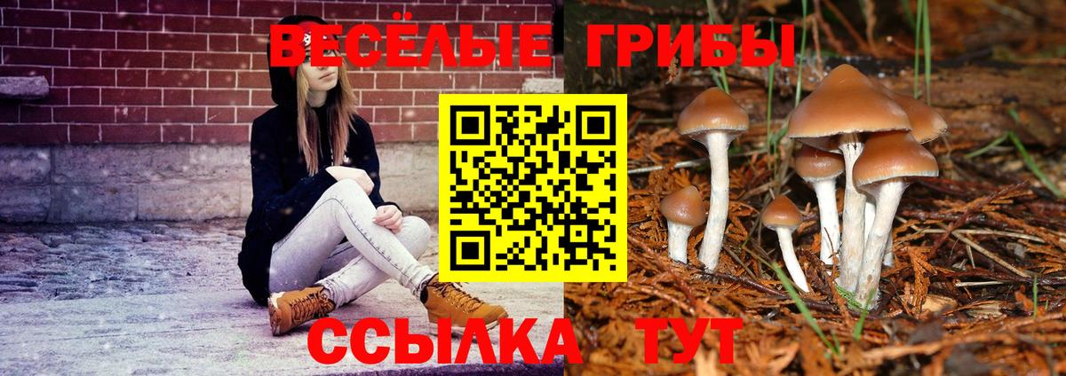Галлюциногенные грибы MAGIC MUSHROOMS Гусь-Хрустальный